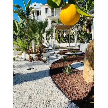 Salonika 2* Ölüdeniz